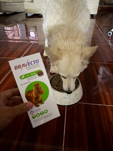 Customer photo review of Bravecto®