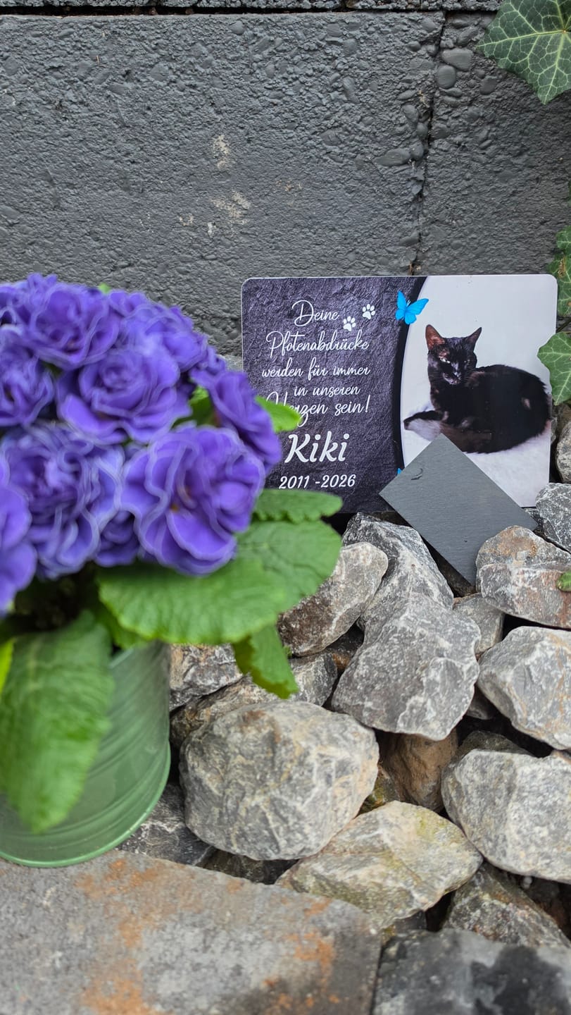 Customer photo review of Katzen Gedenktafel mit Foto & Spruch (UV- & Wetterfest)