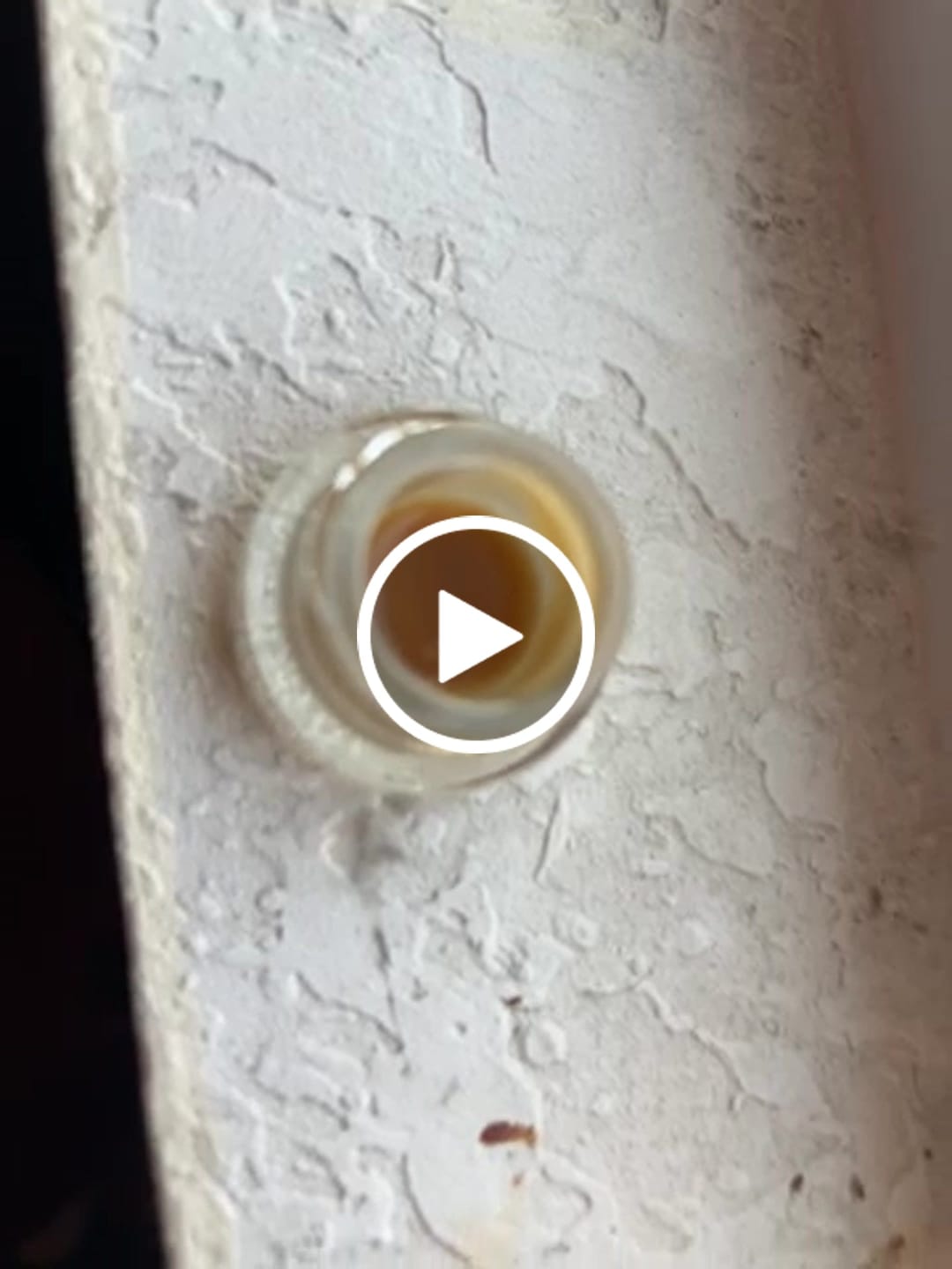 Customer video review of Bulk Live Rosin Tier 3