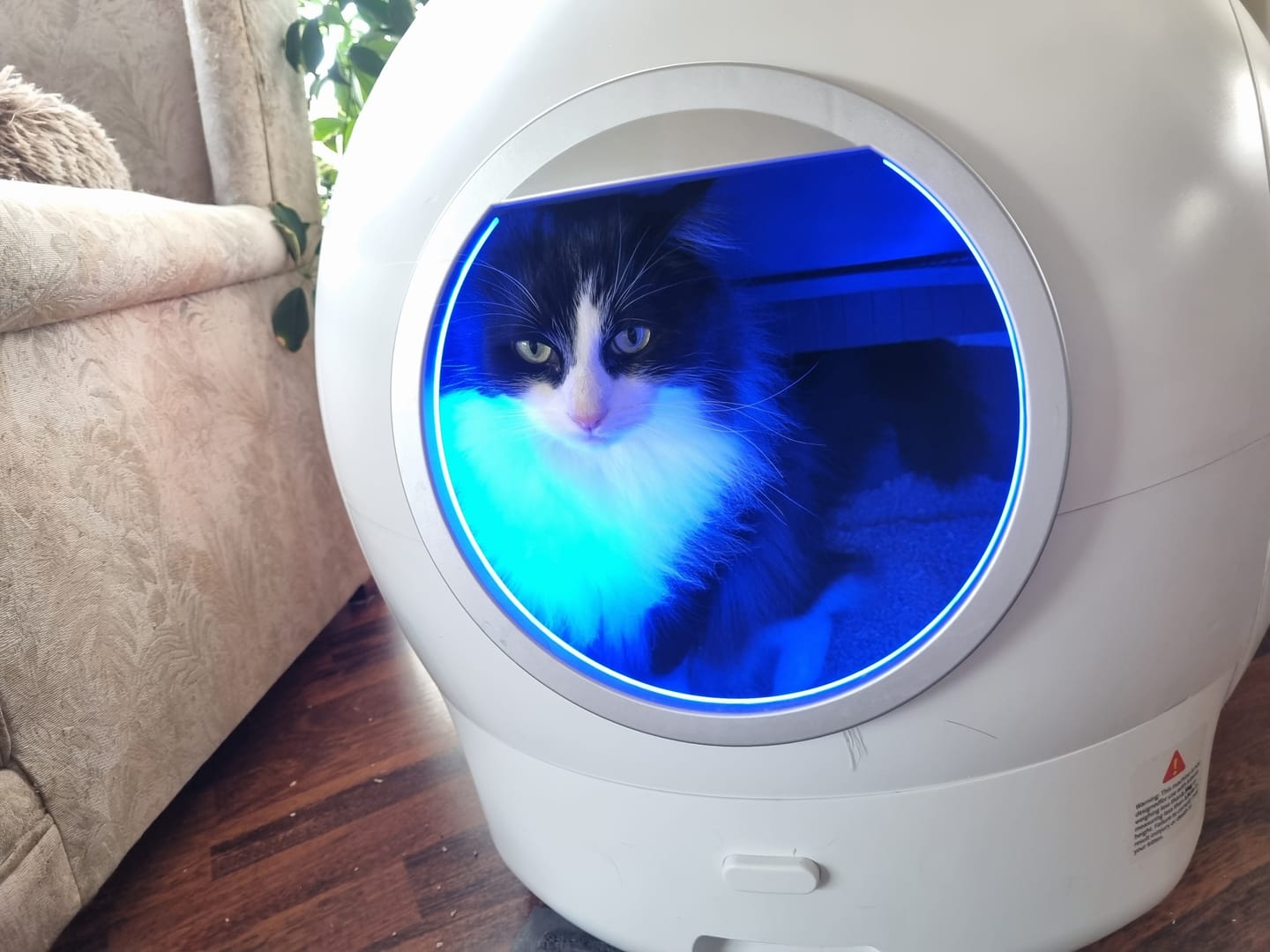 Customer photo review of AutoClean Max Automatic Self Cleaning Cat Litter Box