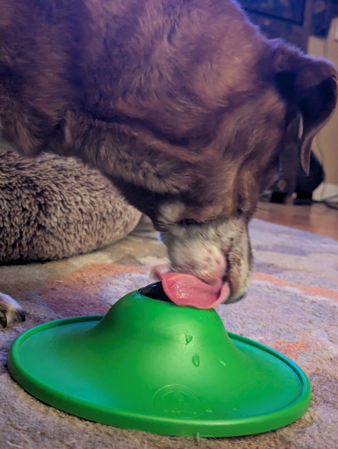 Customer photo review of Soothing Saucer