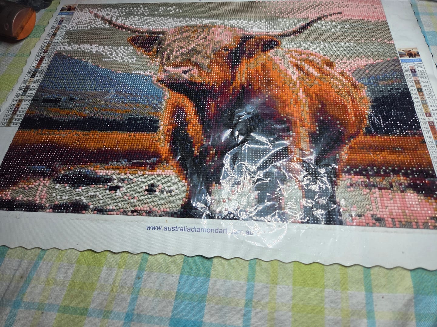 Customer photo review of Highland Cow II (Diamond Painting)