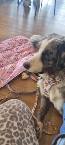 Customer photo review of Mystery Item