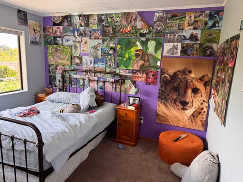 Customer photo review of Print Your Own Mural - So Many Options