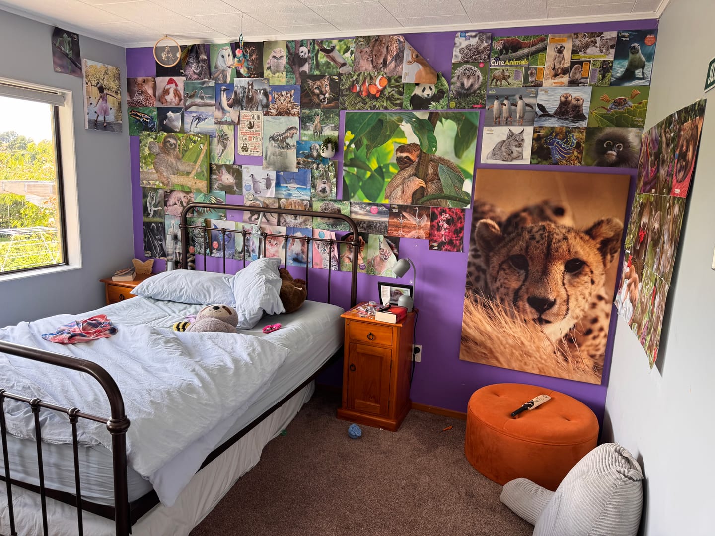 Customer photo review of Print Your Own Mural - So Many Options