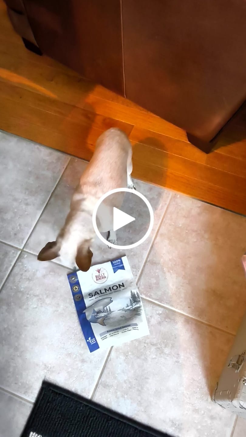 Customer video review of Freeze Dried Beef Liver 100g / 3.5oz