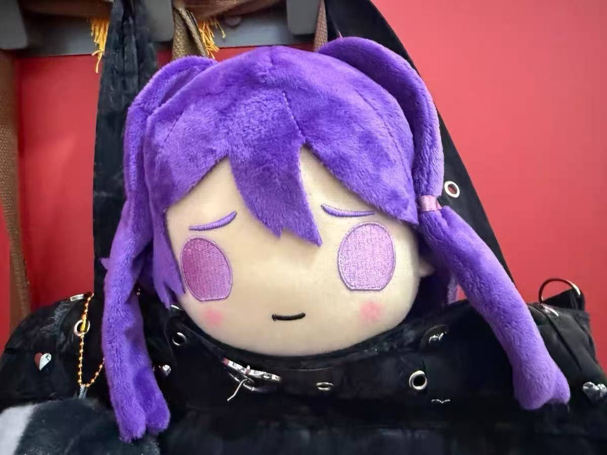 Customer photo review of Doki Doki Literature Club - Yuri Collector's Plush
