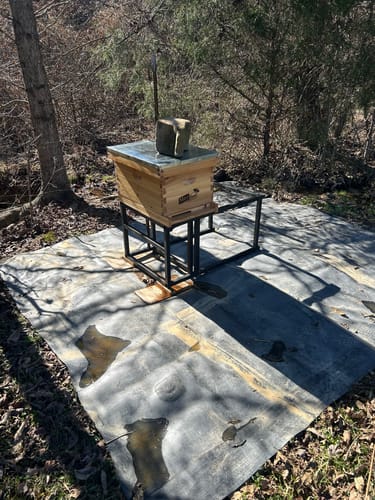 Customer photo review of MayBee Hives Unassembled 8 Frame Beehive Box Deep Brood Box Dipped in 100% Beeswax Includes Pine Wood Frame, Beeswax Plastic Foundation Sheets（NO LOGO）