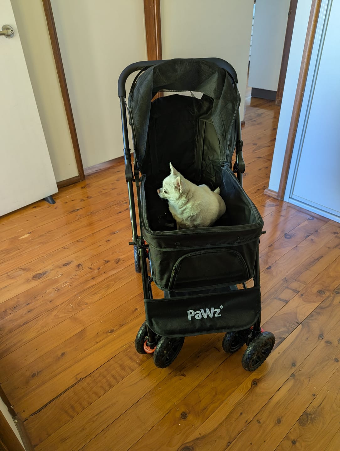 Customer photo review of Pet Dog Stroller Pram 4 Wheels