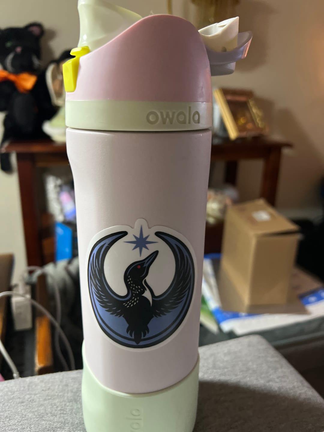 Customer photo review of STICKER CLUB | Monthly Sticker Subscription