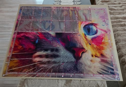 Customer photo review of 5D Diamond Painting – Colorful Cat