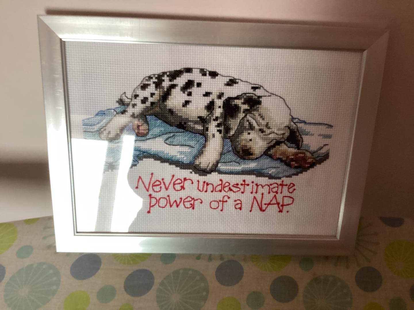 Customer photo review of The nap dog