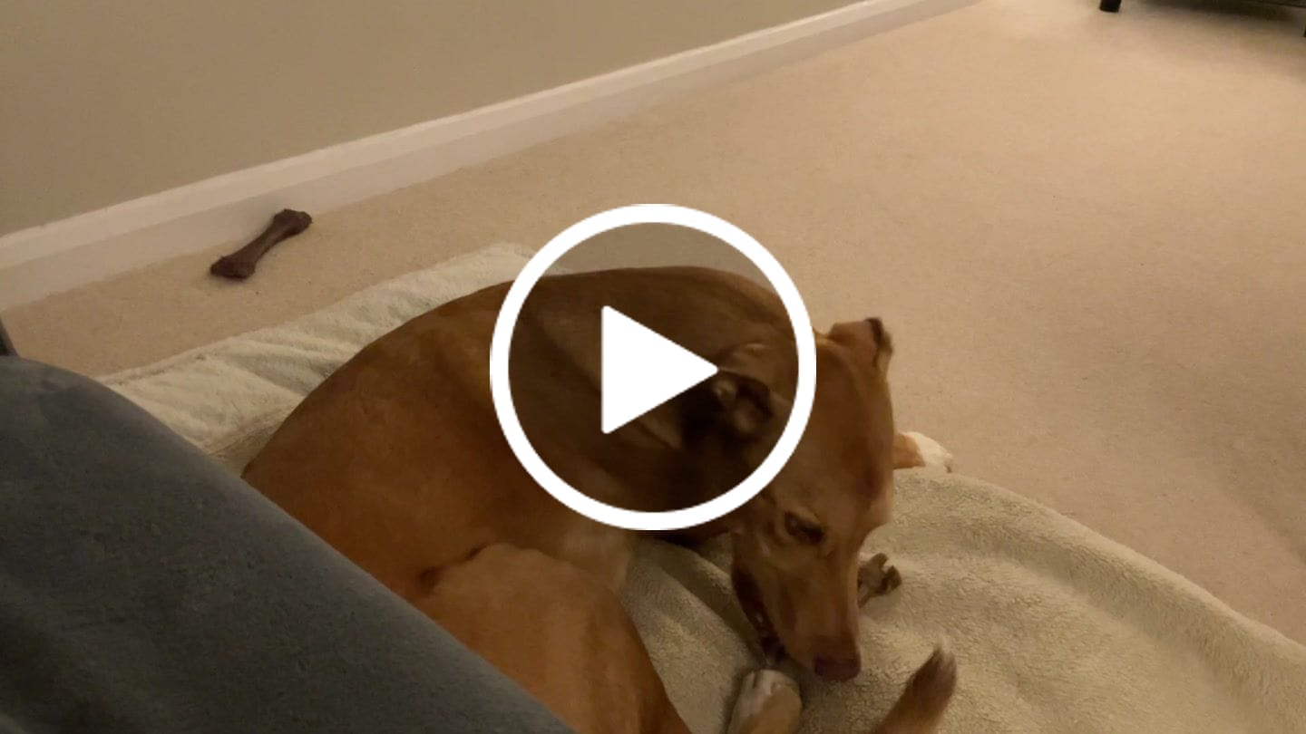 Customer video review of Lamb Braid (1kg)