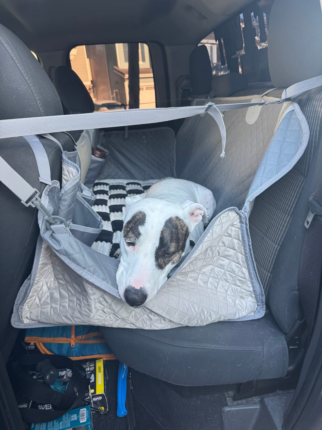Customer photo review of NEW Waterproof Hard Bottom Car & Truck Seat Foldable Hammock Cover With Storage Pockets, Side Flaps, Headrest Straps, Seat Anchors, & Mesh Window (+FREE SAFETY BELT!)