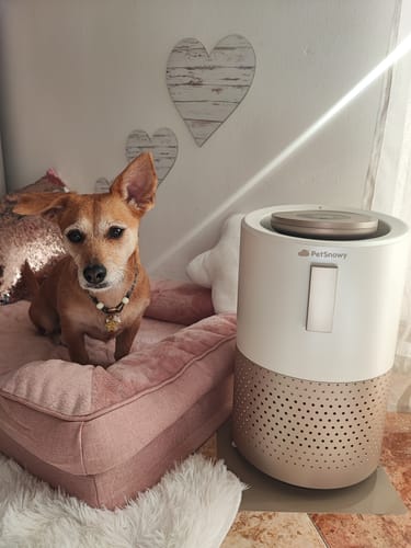 Customer photo review of Pet Air Purifier