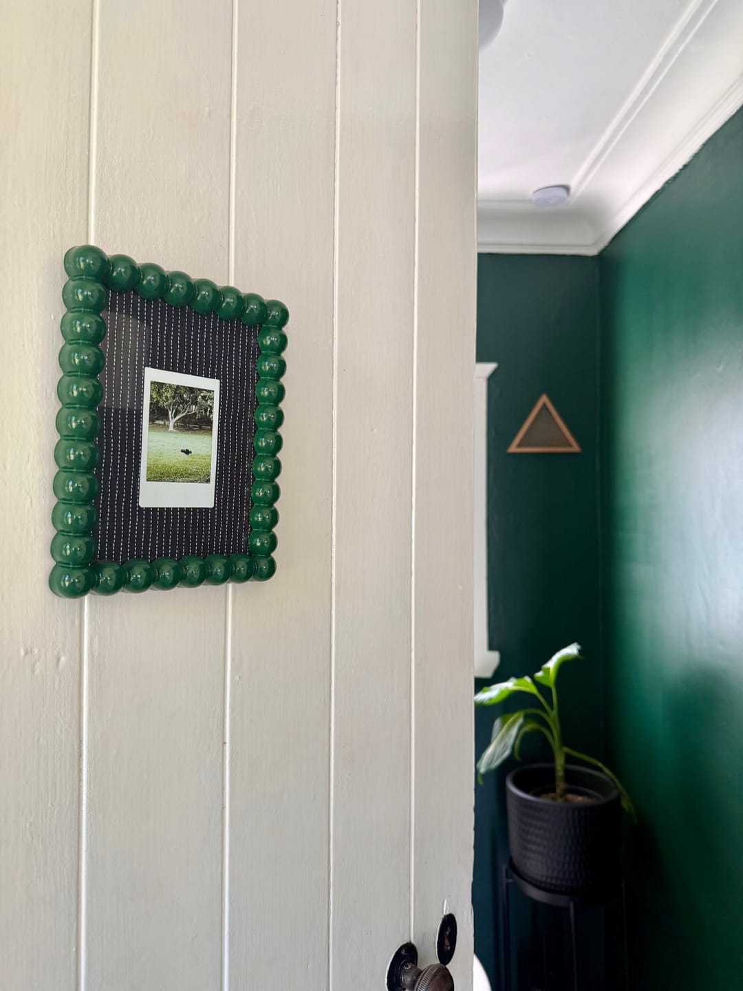 Customer photo review of The Windsor Button Frame Dark Green