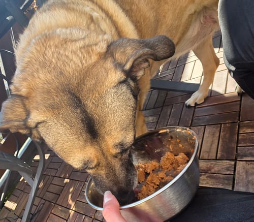 Customer photo review of Frischfutter für Energiebedarf von 876 kCal/Tag