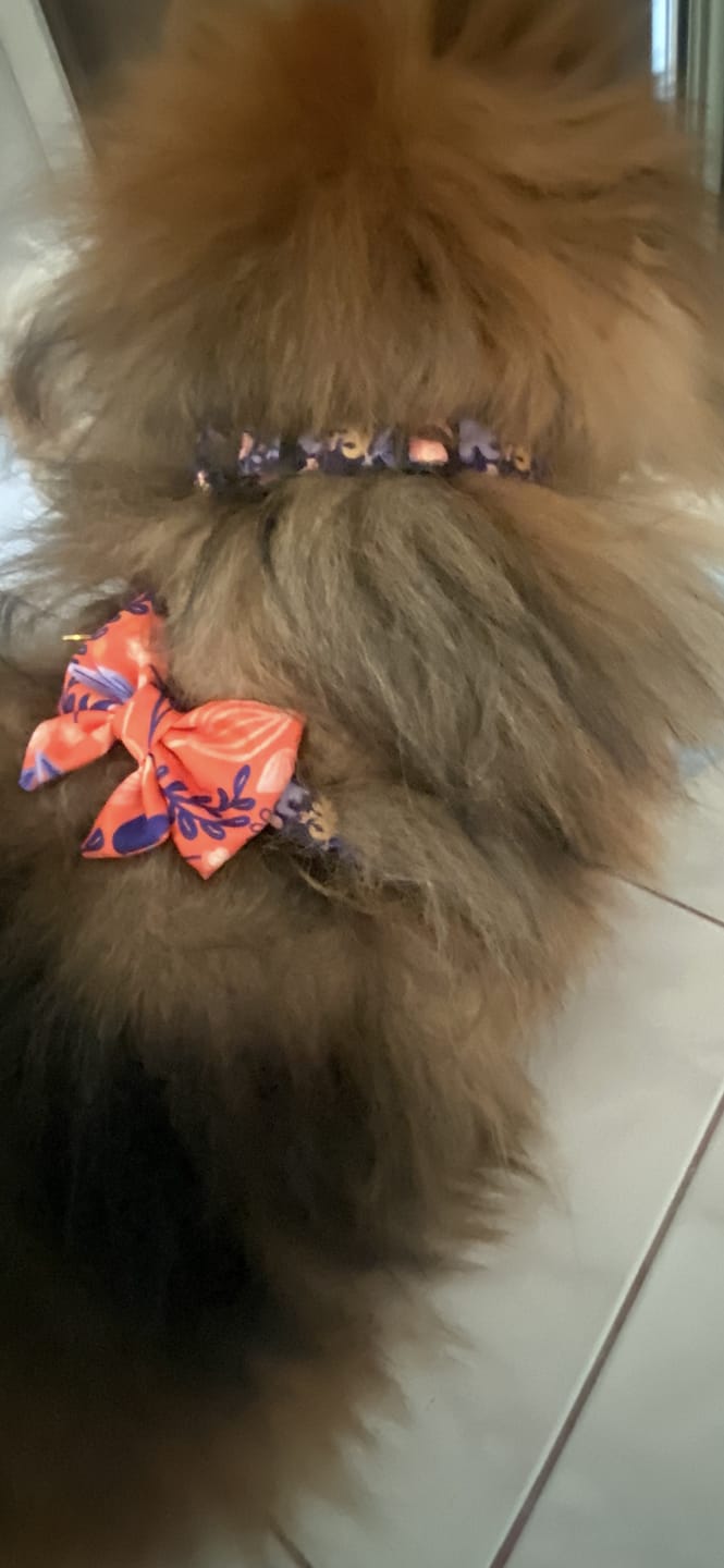 Customer photo review of Szelki guard "Blue Jungle" - czarne okucia