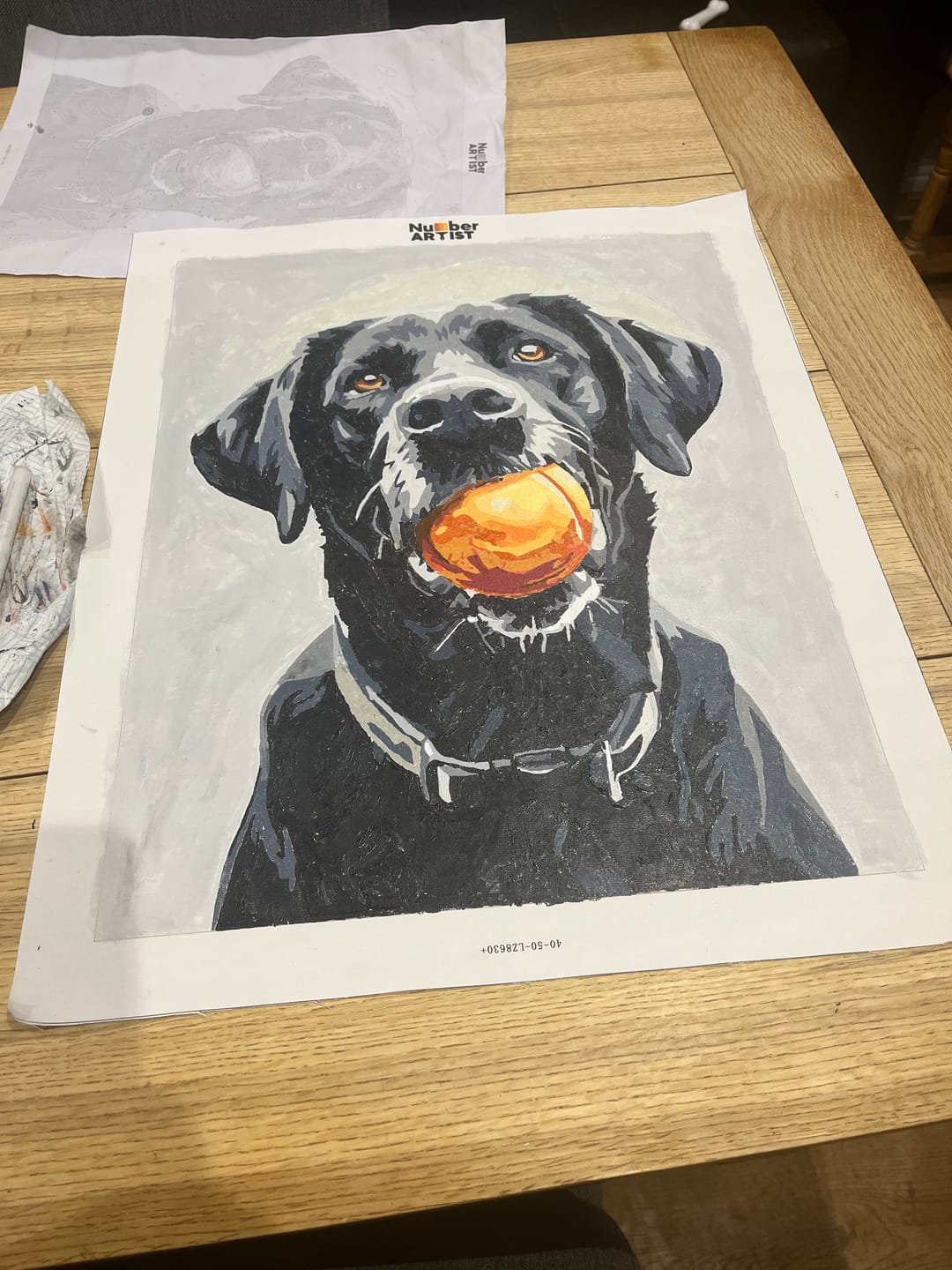 Customer photo review of Play Time