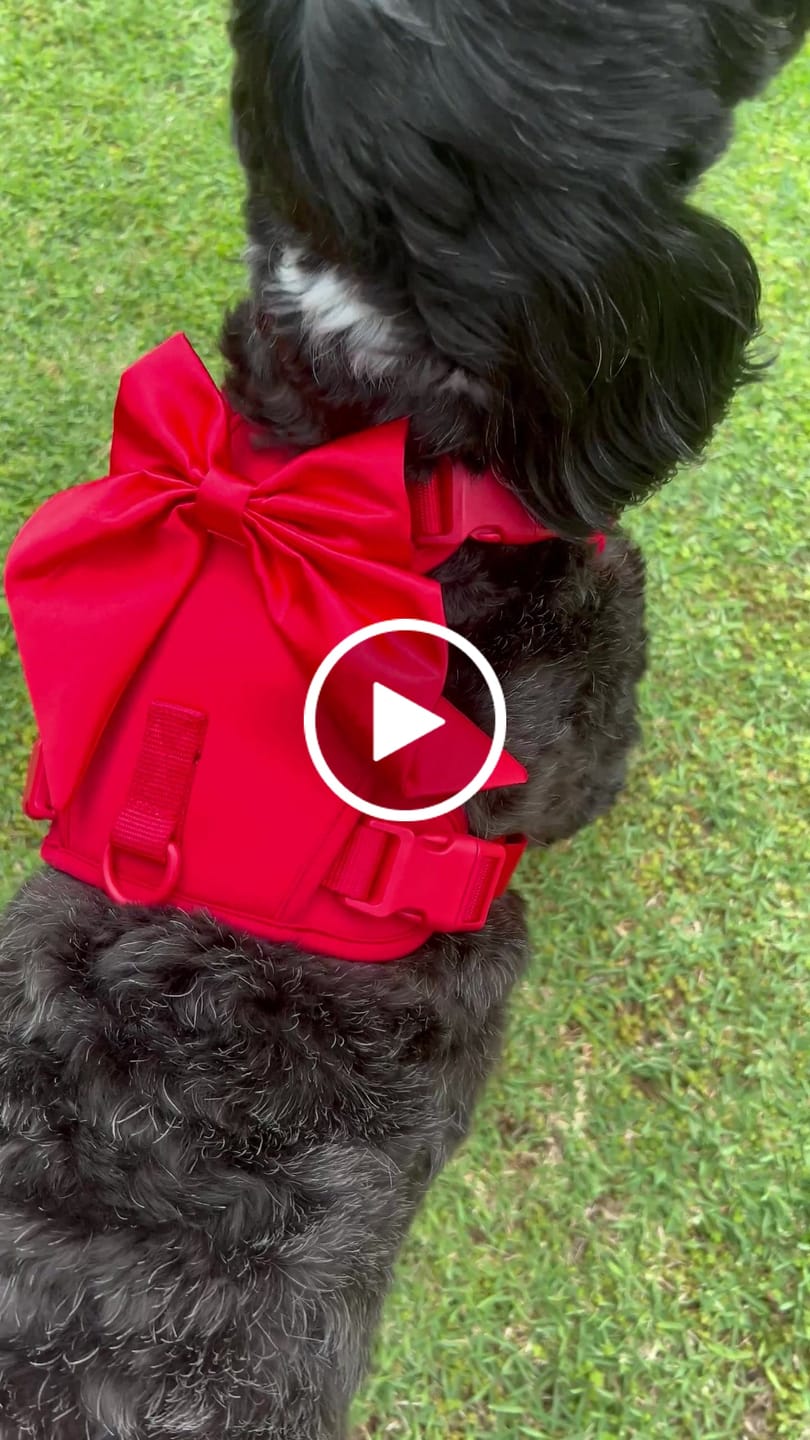 Customer video review of Wander! Bow Harness Kit Cherry