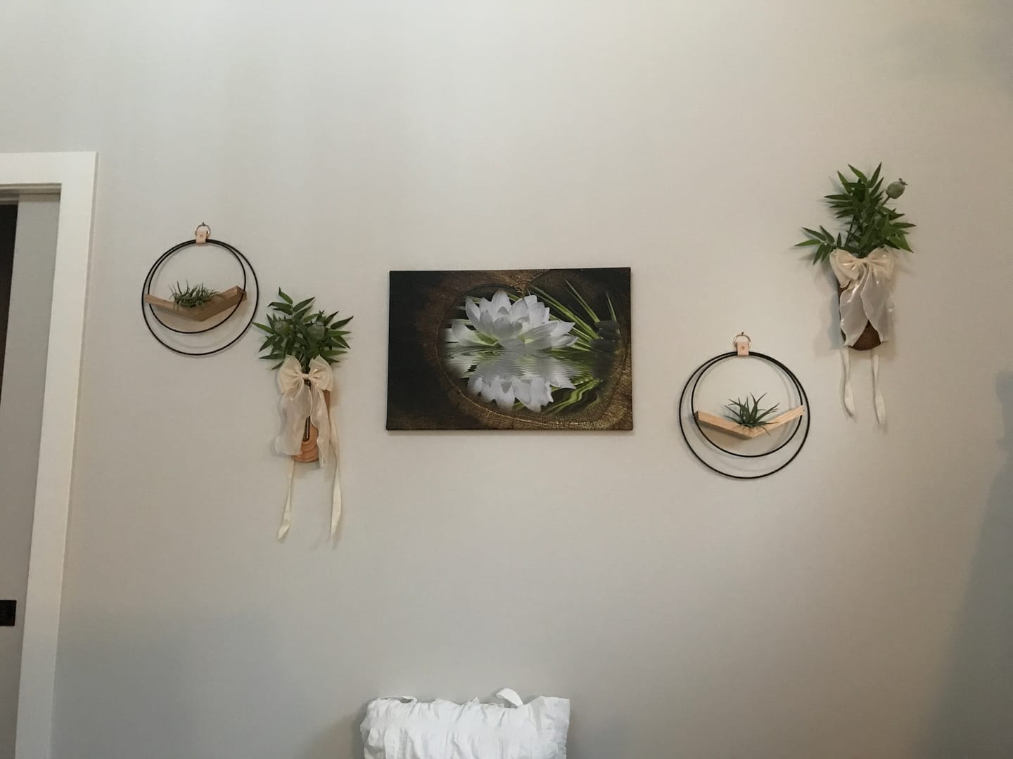 Customer photo review of Air Plant V-Hanger Trio