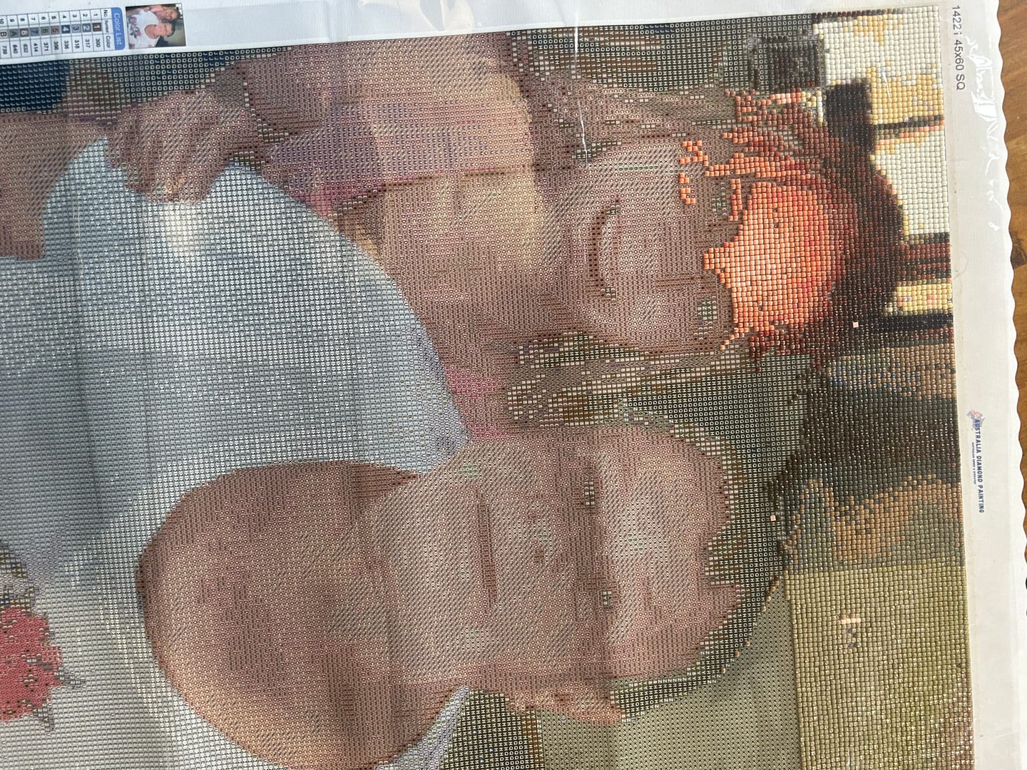 Customer photo review of Custom Diamond Painting