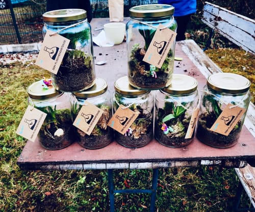 Ein Kunde zeigt mehrere fertige Flaschengarten-Gläser aus dem Set, die draußen auf einem Tisch stehen.