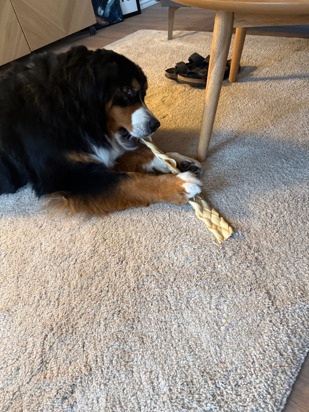 Customer photo review of Snack'it - Flettet oksehud