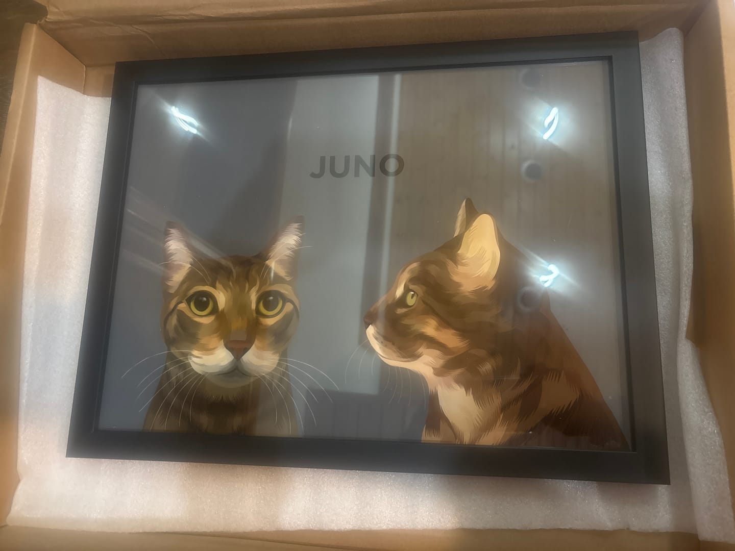 Customer photo review of Custom Pet Portrait - Two Pets (Framed)