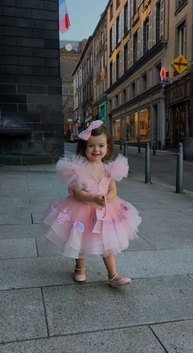 Customer photo review of Elegant Girls Ball Gown Embroidery Flower Girl Dress Toddler Birthday Princess Dress