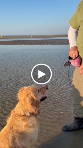 Customer video review of Dog Treat Pouch - Attachable & Poop Bag Holder - Pink