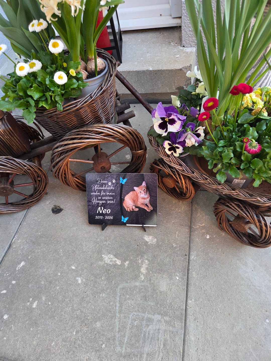 Customer photo review of Katzen Gedenktafel mit Foto & Spruch (UV- & Wetterfest)