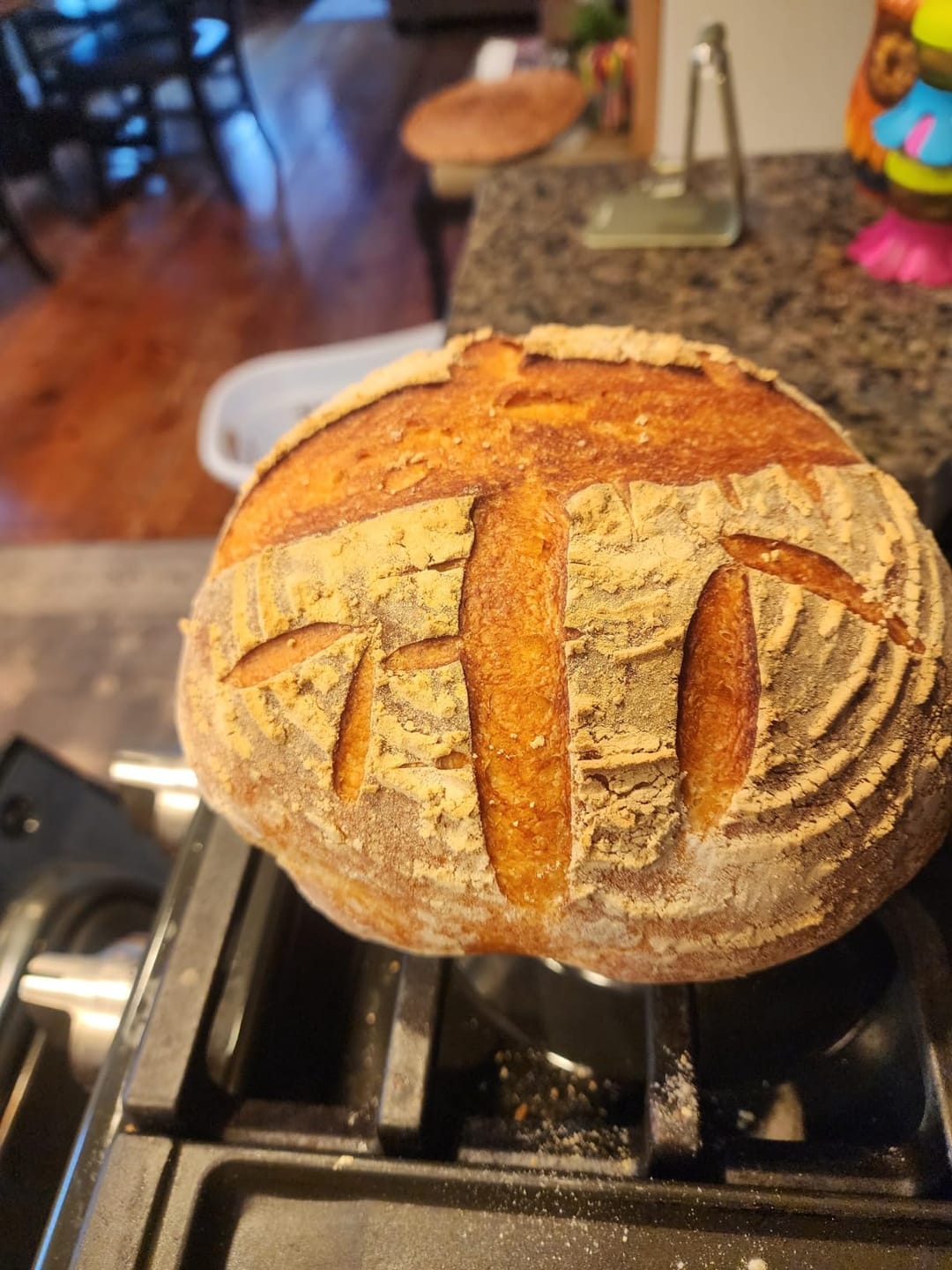 Customer photo review of Living Jin Foods: Sourdough Starter
