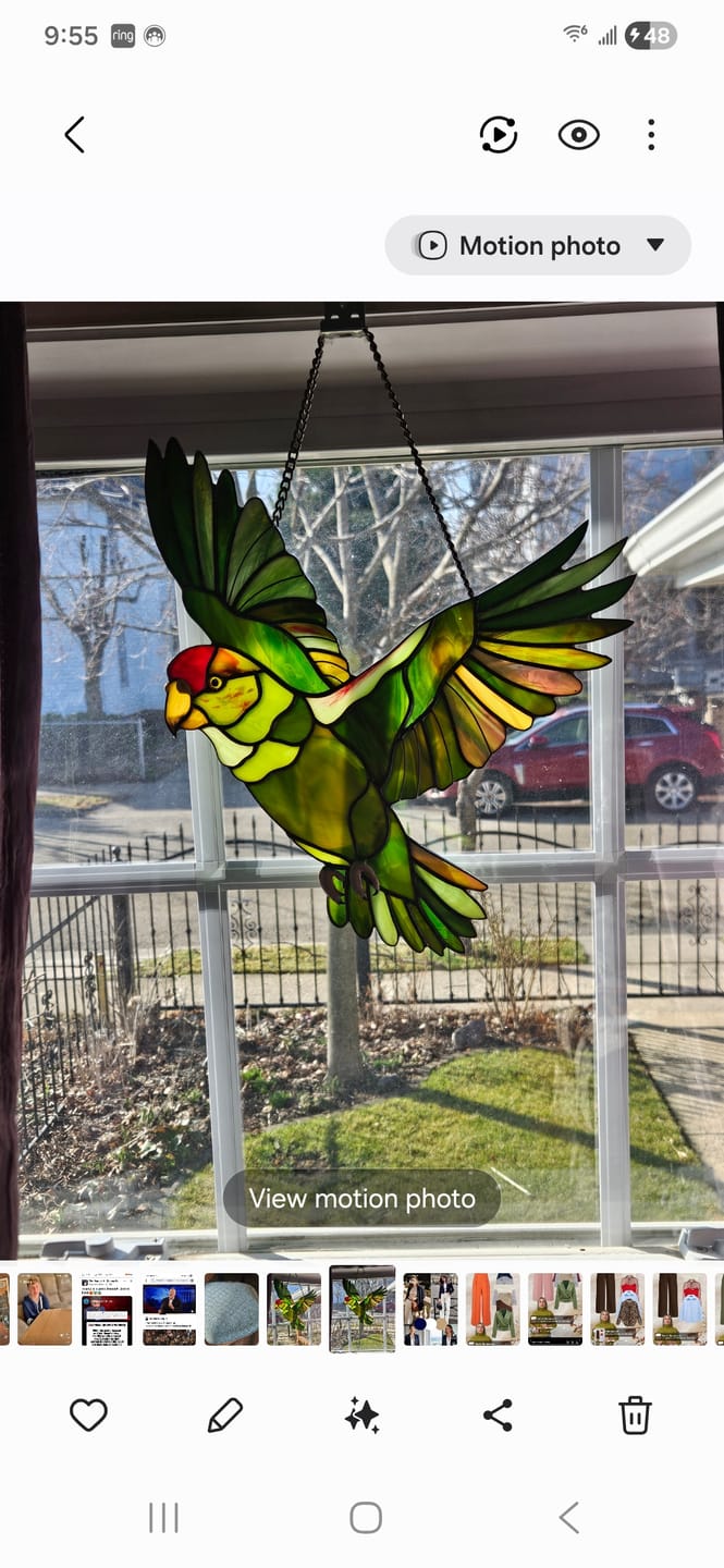 Customer photo review of Custom order: chula in flight 10x10 inches