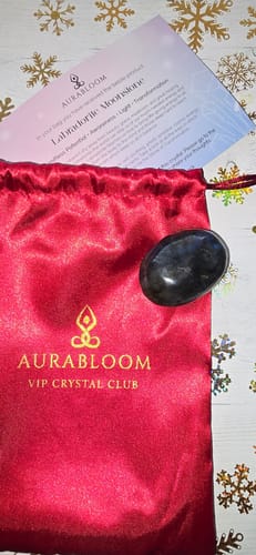 Reviewer's VIP Crystal Club delivery showing a smooth Labradorite stone on its red pouch with an info card.