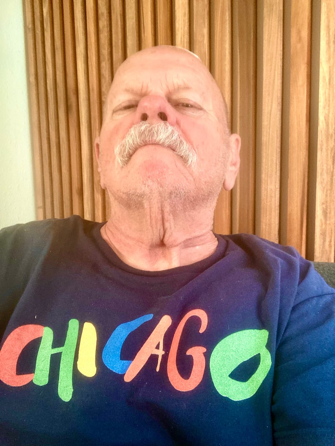 Customer photo review of Chicago Brushstrokes T-Shirt
