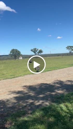 Customer video review of Outback Herder -