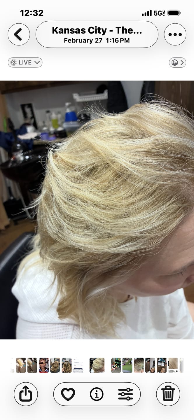 Customer photo review of Sew In Hair Weft Bundles 100% Remy Human Hair Highlights (#P18/613)
