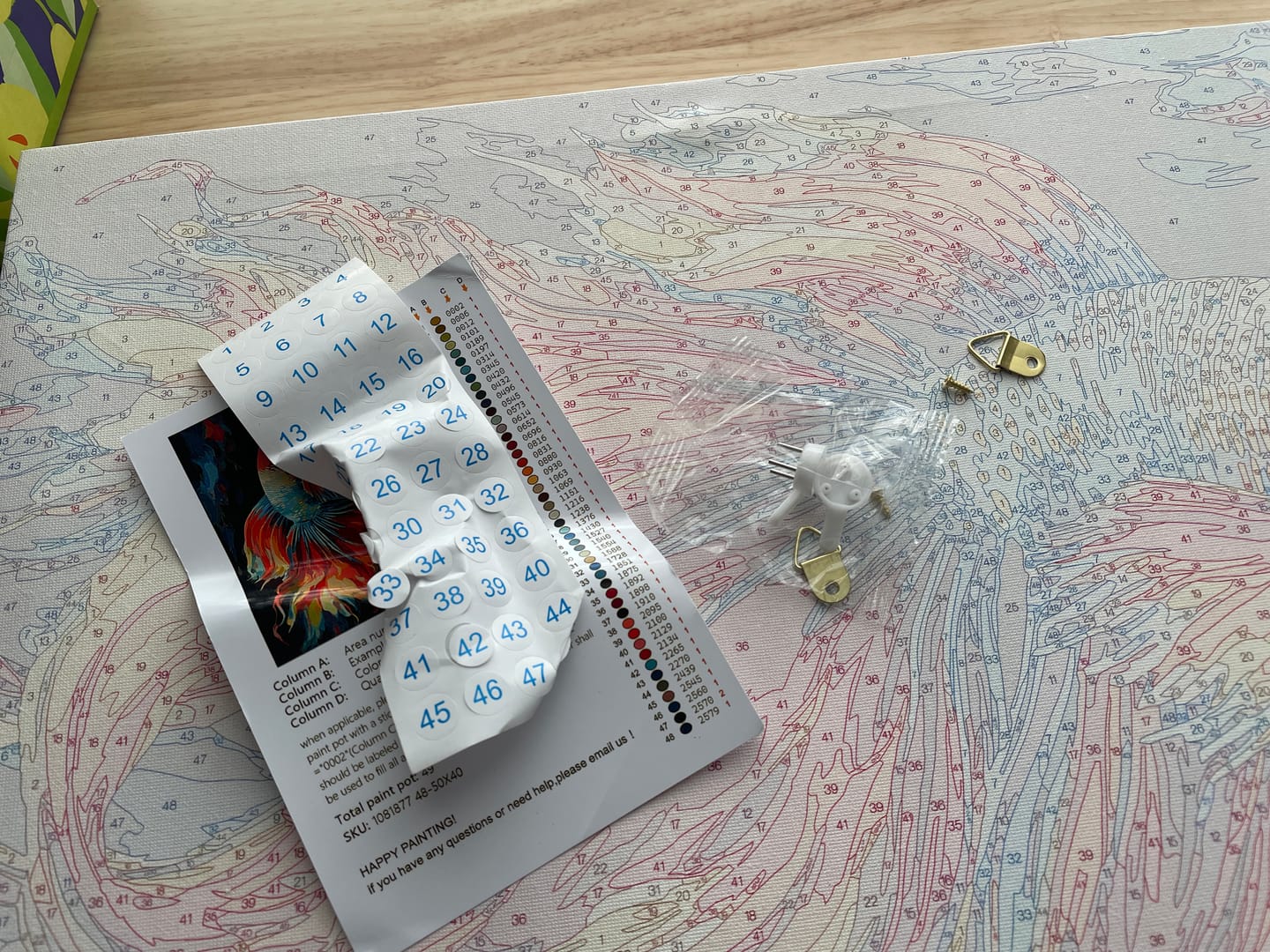Customer photo review of Rainbow Beta Fish