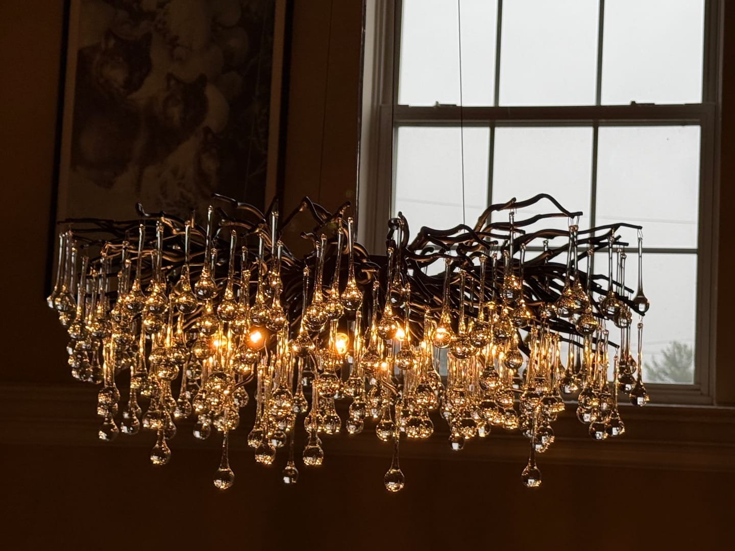 Customer photo review of The Crowned Branch Chandelier