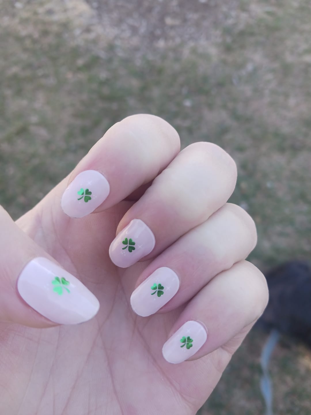 Customer photo review of Four-leaf clover