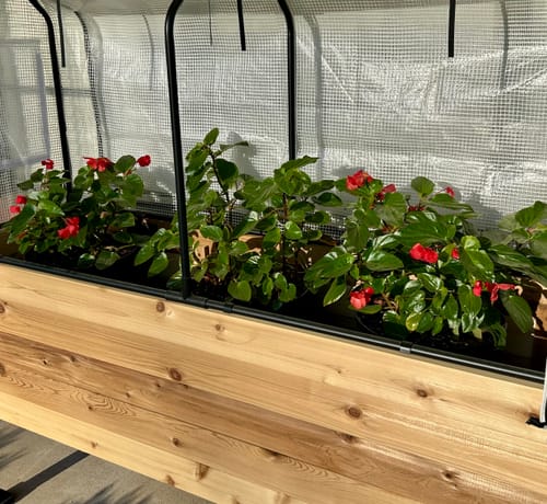 Customer photo review of 18" x 60" Raised Garden Bed - 30" TALL / Select Grade