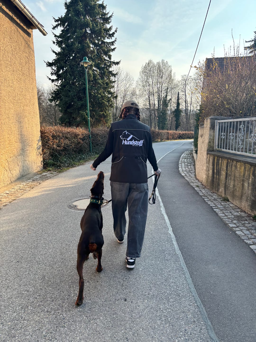 Customer photo review of Hundstaff Pack Handler Vest