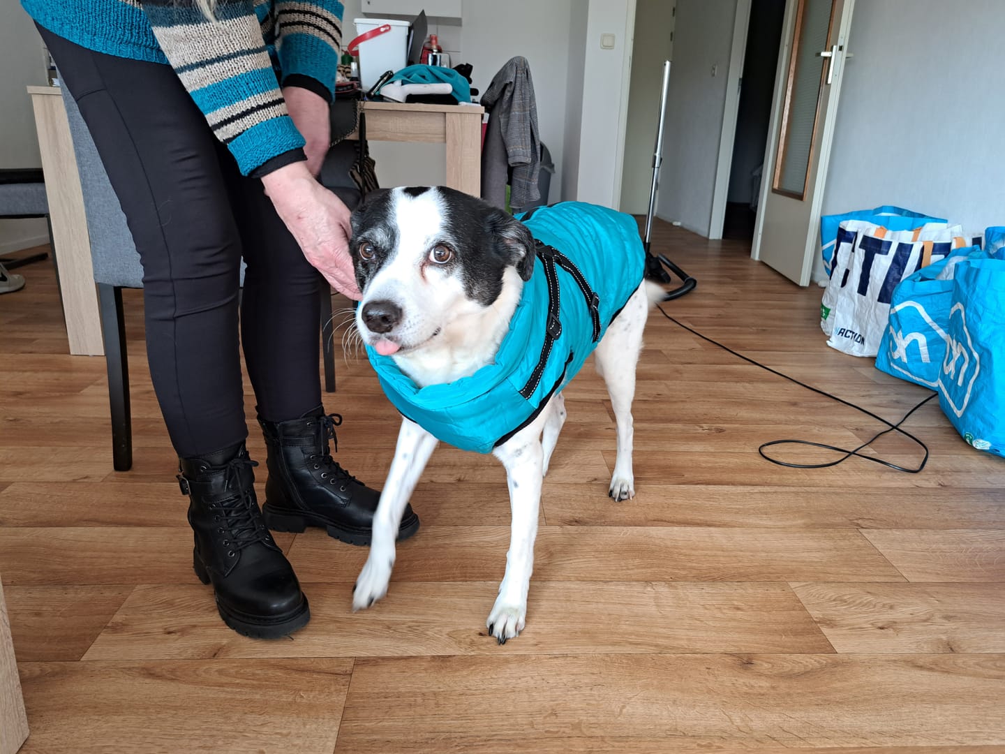 Customer photo review of PawShield - Honden Winterjas Winterjas Voor Hond