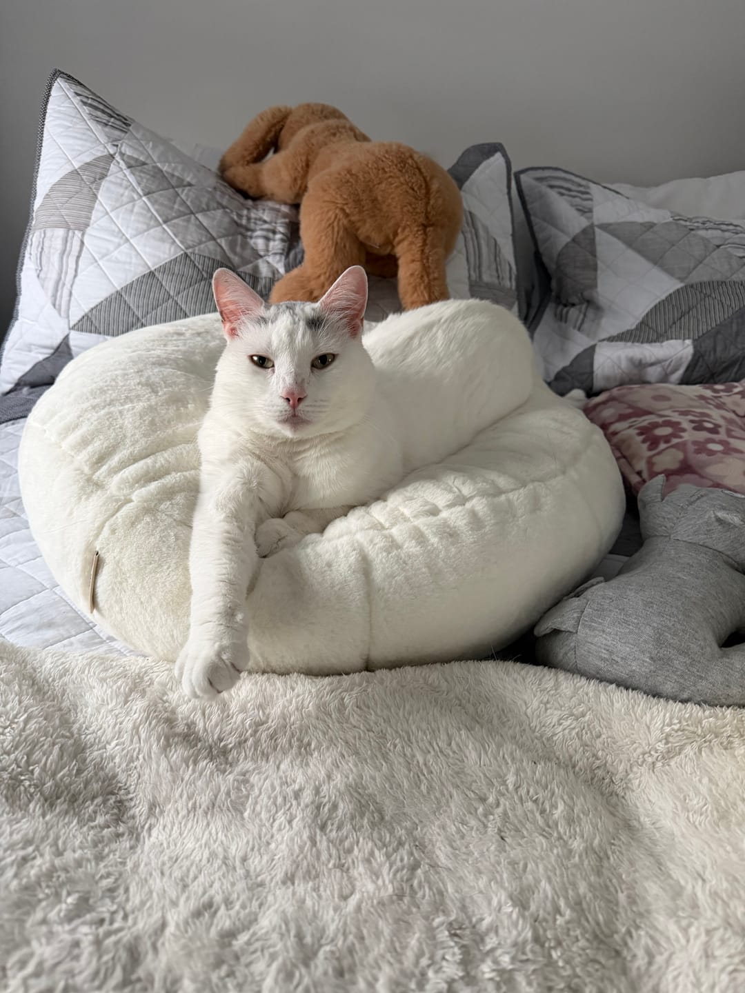 Customer photo review of Sourdough Pudding Bed