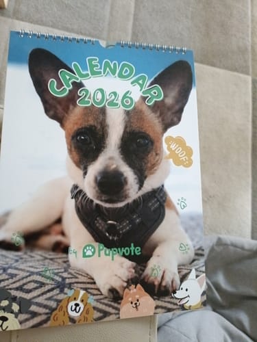 Customer photo review of Official Pupvote Cutest Pets of the Year Calendar (2026)