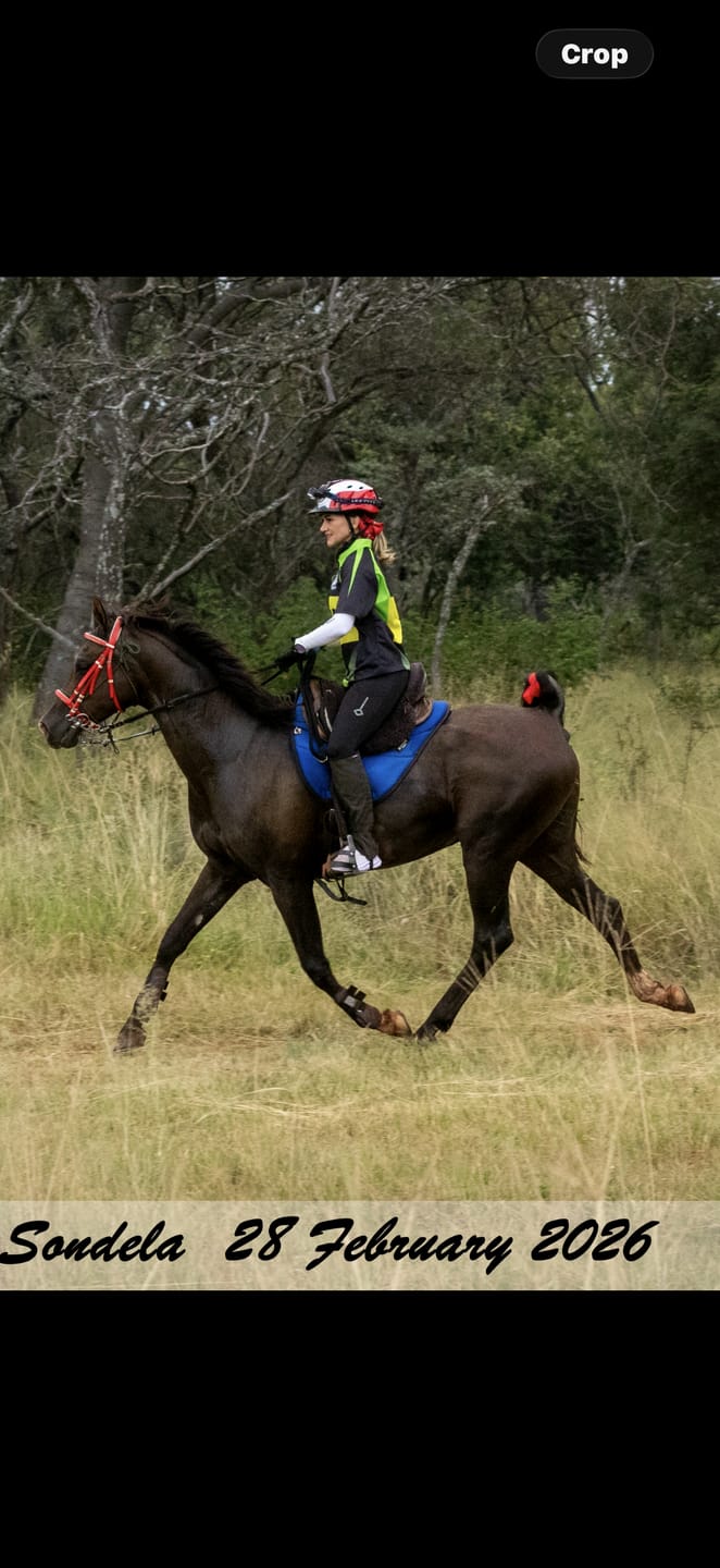 Customer photo review of Equimin Trophy (Supplement For Horses & Game)