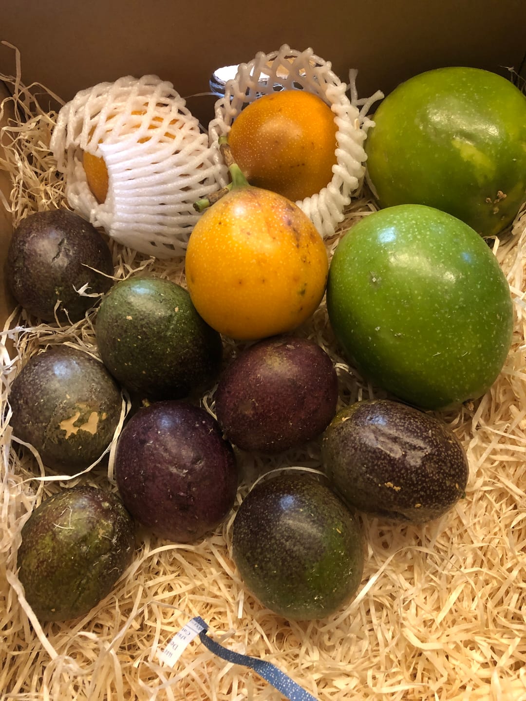 Customer photo review of "Passiflora Lovers" Maracuja-Mix Box