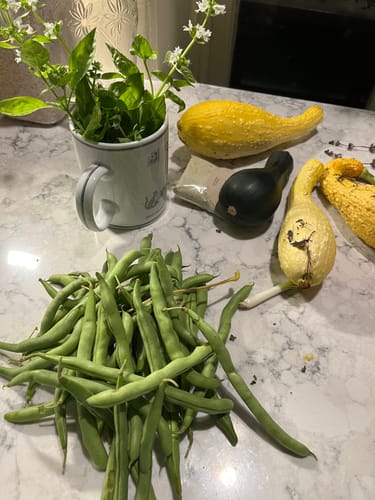 Customer photo review of Bean (Scarlet Runner Bean)
