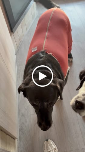 Customer video review of Body Arti Posteriori